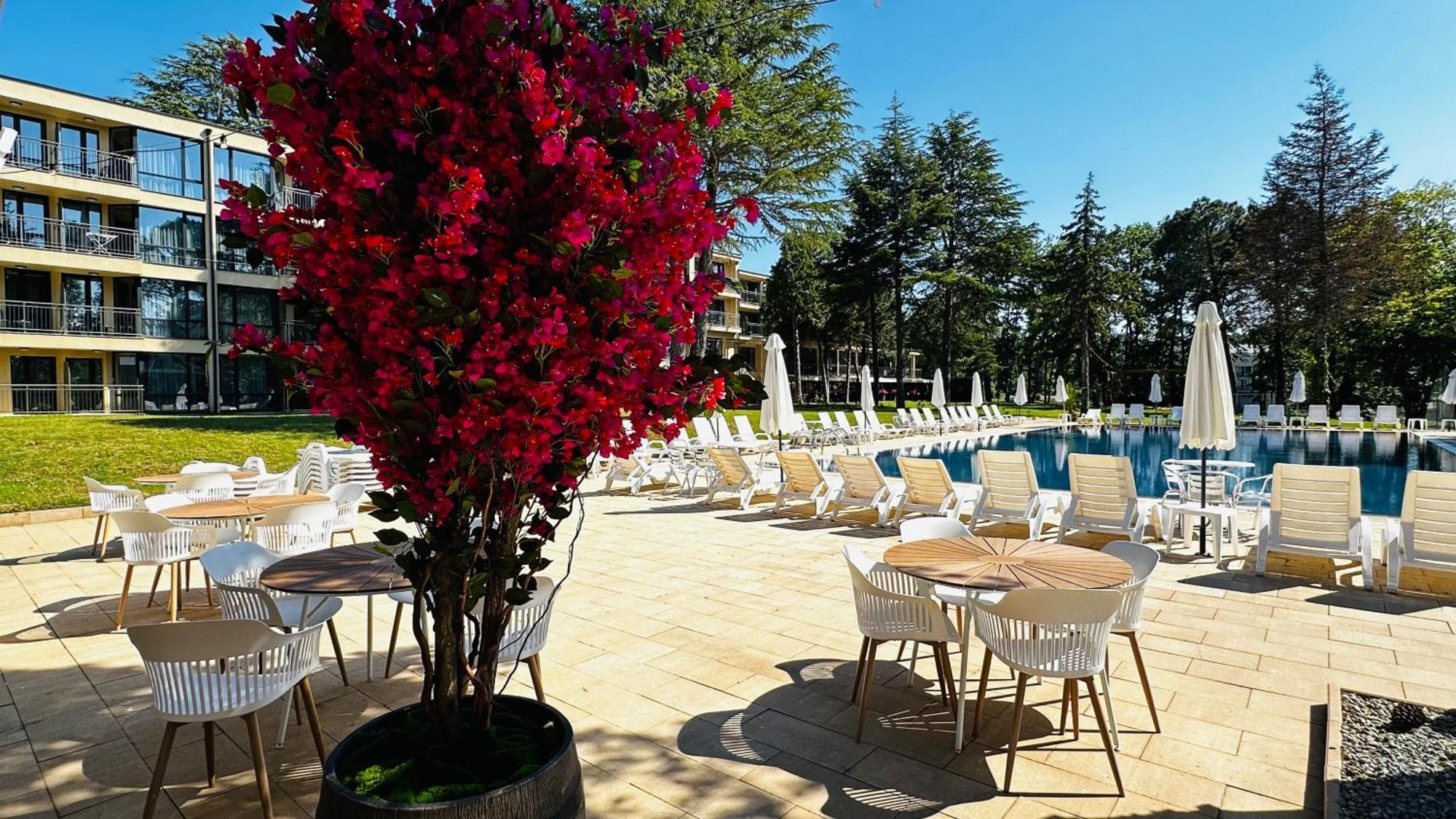 Queen Nelly Park Kiten  Εξωτερικό φωτογραφία